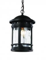 Trans Globe 40375 BK - 1LT HANGING LANTERN-MD-WATER-B